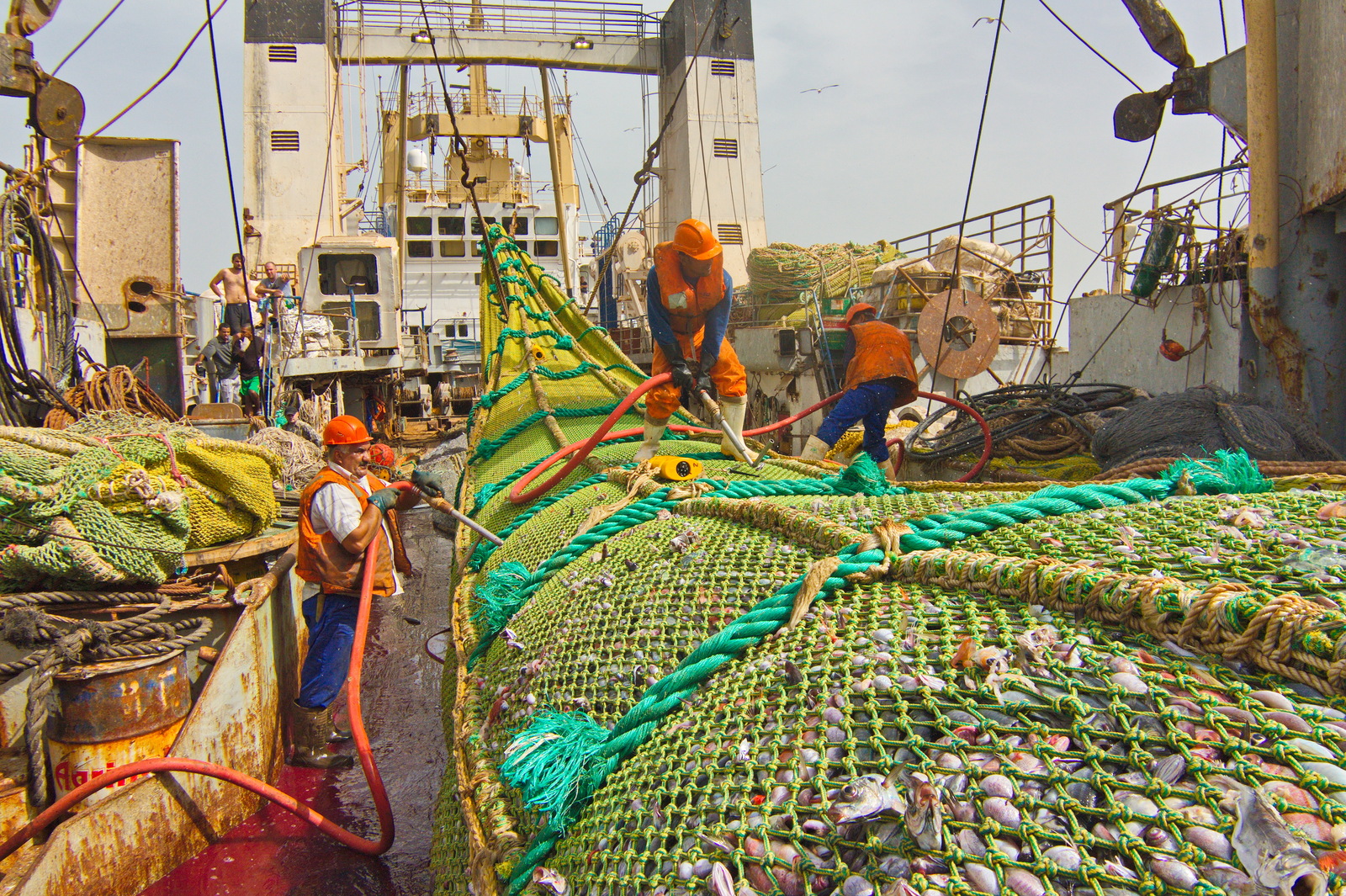 Как проходит промышленная рыбная ловля 