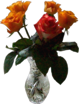 Красивые розы,цветы PNG 