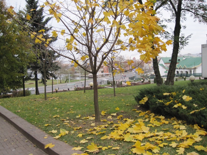  Листья желтые над городом кружатся IMG_1548 (700x525, 214Kb)
