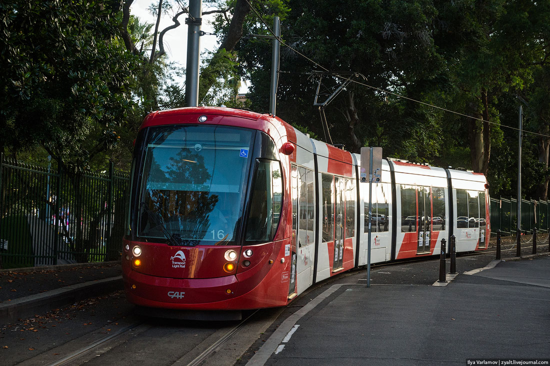 Мельбурнский трамвай 