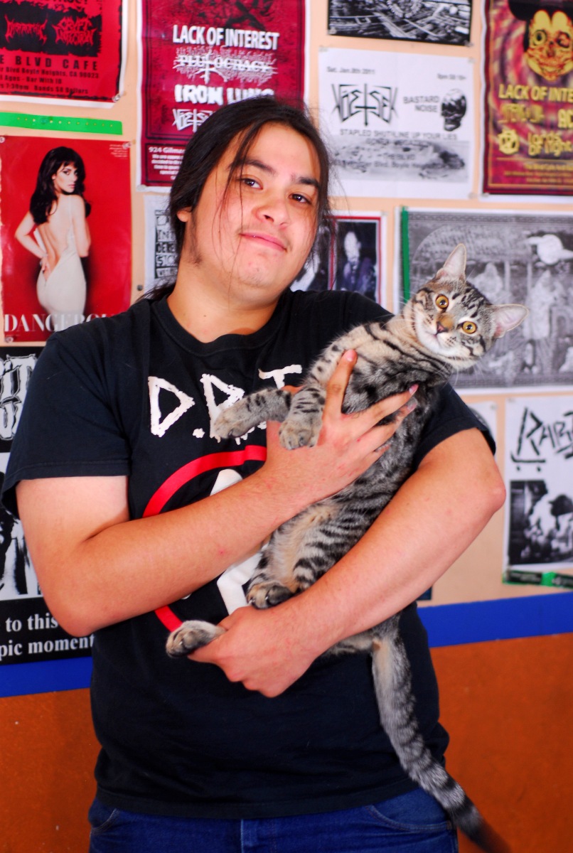 Metal Cats - рок хозяева и их коты 