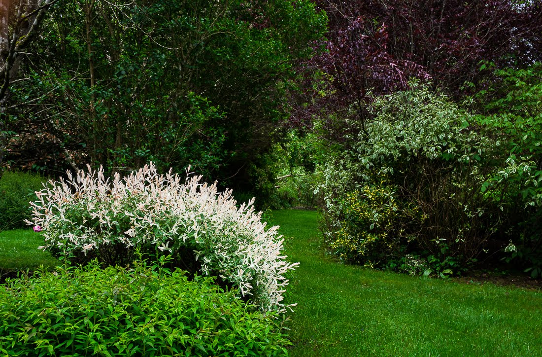 Мне все время дают советы как правильно сажать сад Мне все время дают советы как правильно сажать сад
