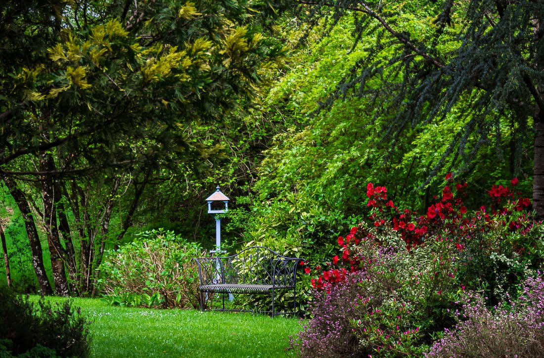 Мне все время дают советы как правильно сажать сад Мне все время дают советы как правильно сажать сад