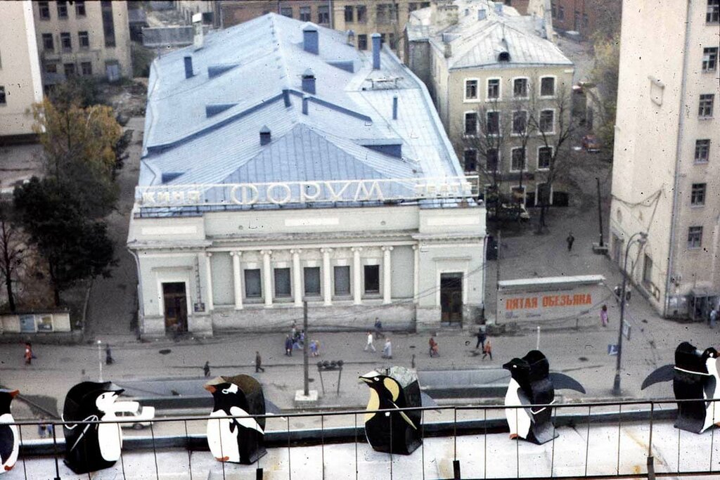 Московские пингвины Pings10.jpg