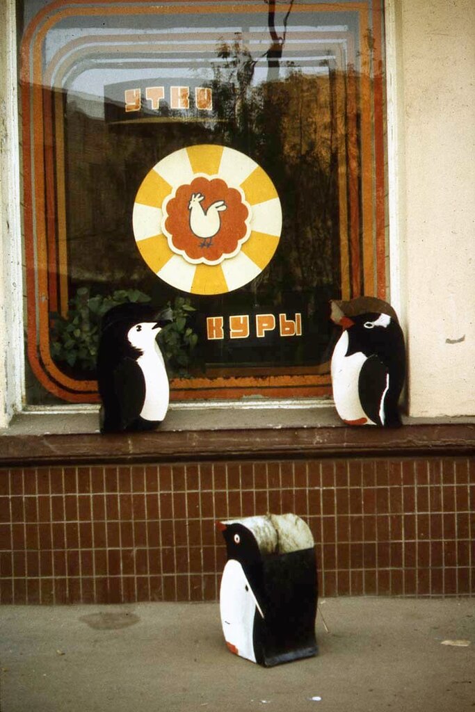 Московские пингвины Pings07.jpg