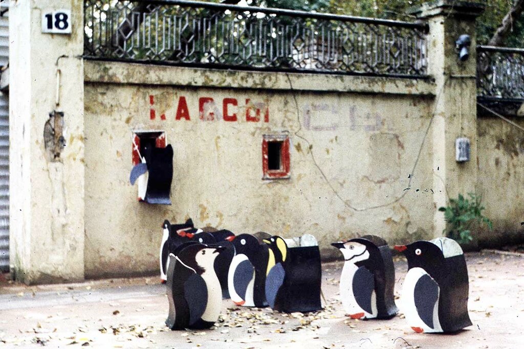 Московские пингвины Pings24.jpg