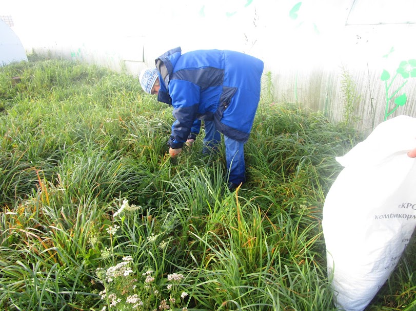 Начинаем наш отчет Начинаем наш отчет