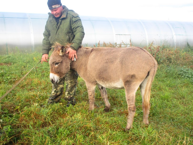 Начинаем наш отчет Начинаем наш отчет