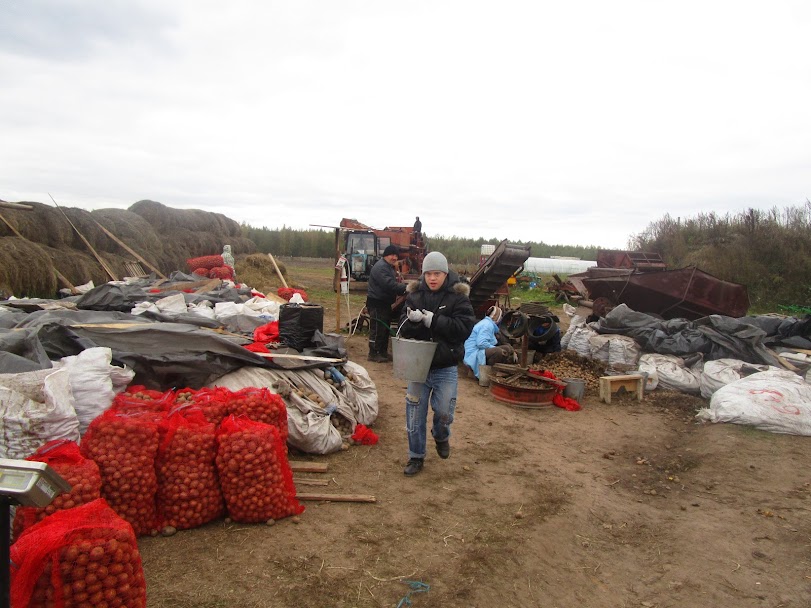 Начинаем наш отчет Начинаем наш отчет