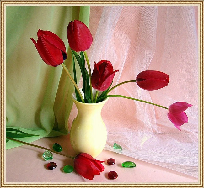 Натюрморты Тюльпаны, тюльпаны 0a0eb2534a53a00625e9ac5e3052777e (650x600, 169Kb)
