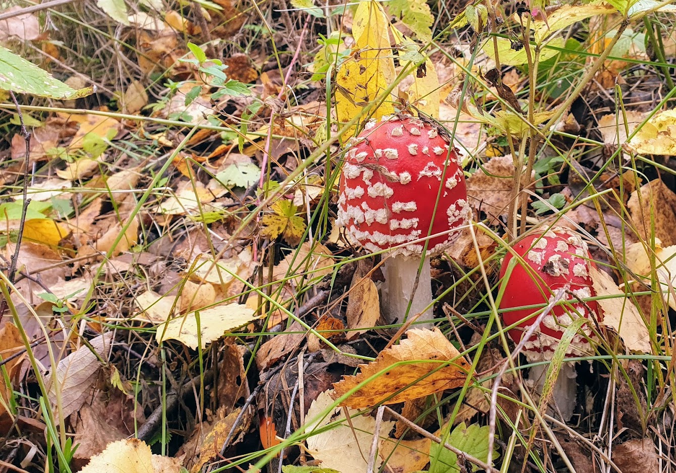 Невозможно было остановиться... Невозможно было остановиться...