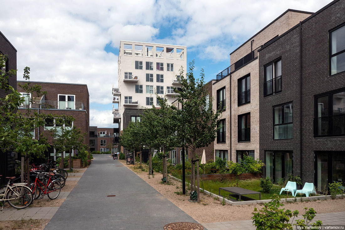 Новые районы Копенгагена: деревья, каналы, велосипеды 