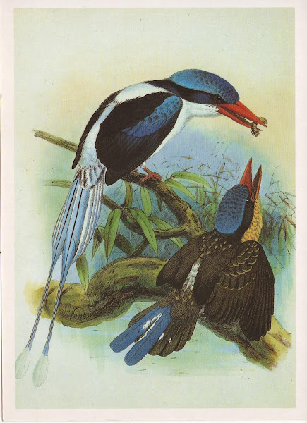 Обмен птиц (открытки и марки) 