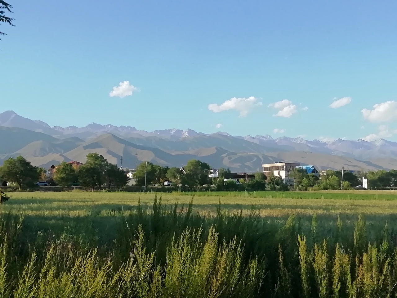 Окрестности города Чолпон-Ата (Иссык-Куль, Киргизия) 