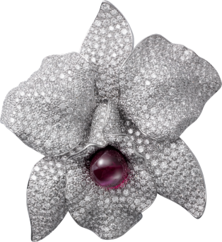 Орхидеи от Картье 