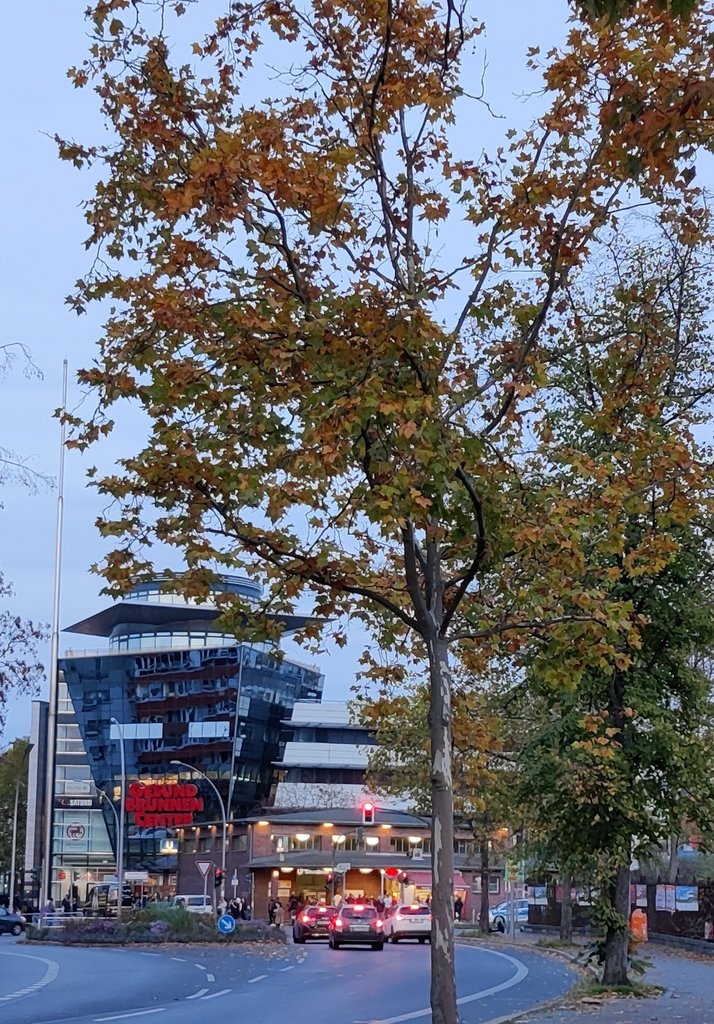 Осенний вечер в Берлине 