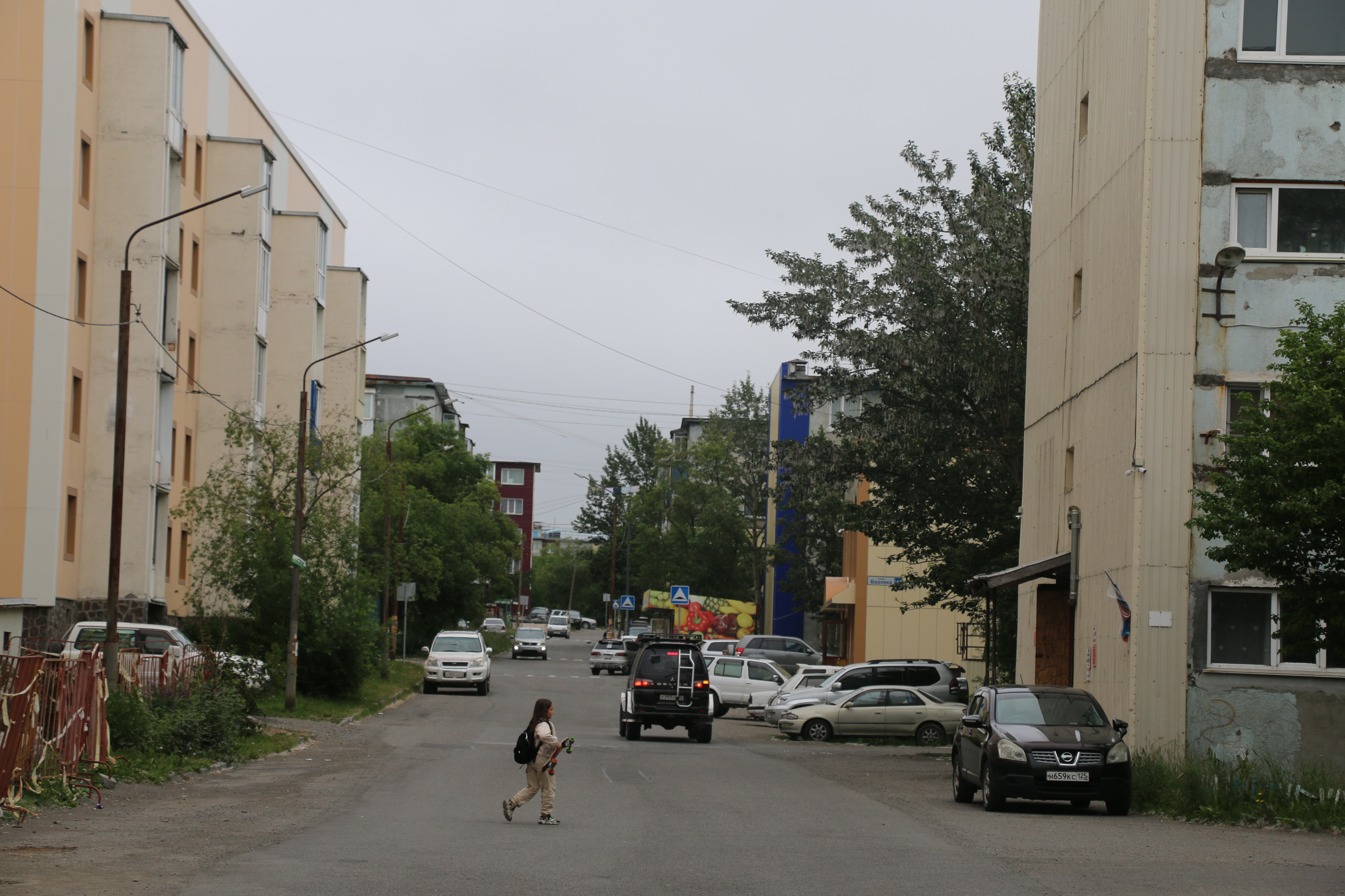 Петропавловск-Камчатский: в целом и общем 