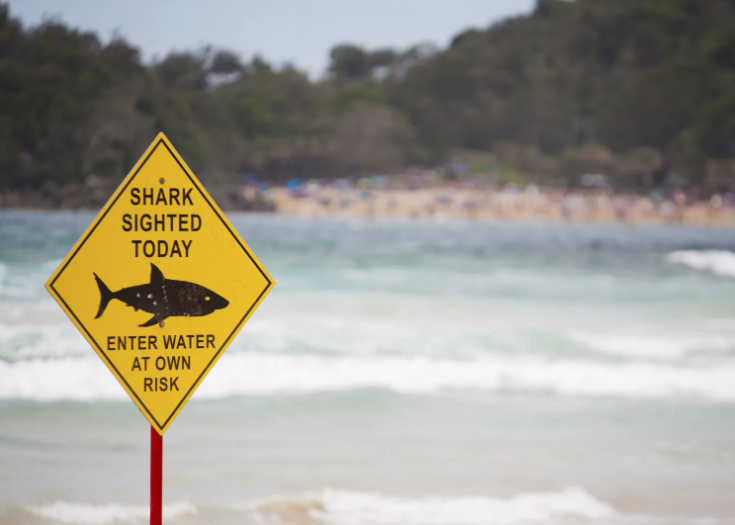 Почему пляжи Австралии — самые опасные в мире 