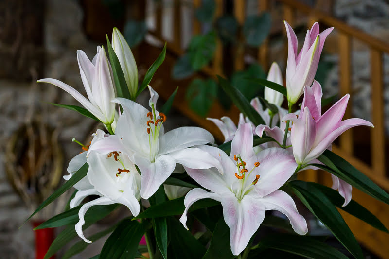 Почти-почти готово  Почти-почти готово