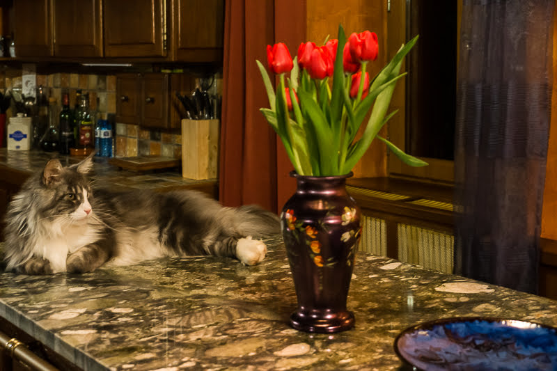 Почти-почти готово  Почти-почти готово