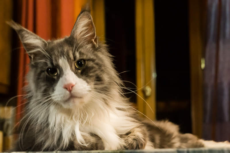 Почти-почти готово  Почти-почти готово