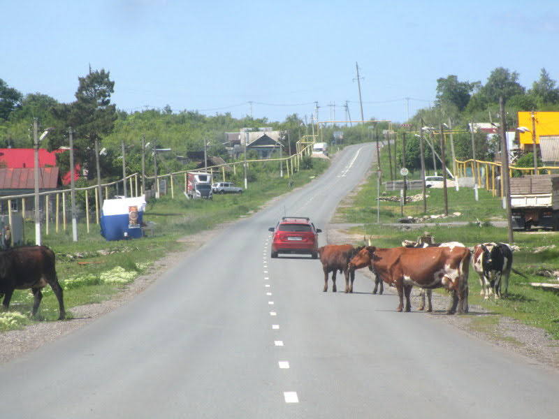 Поволжье-2025: от Дона до Эльтона  Поволжье-2025: от Дона до Эльтона