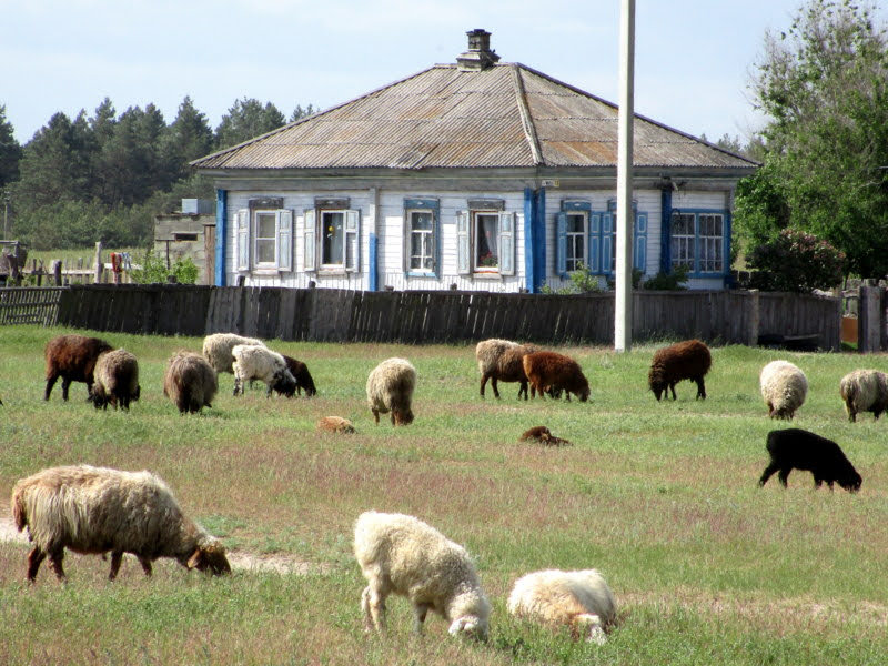 Поволжье-2025: от Дона до Эльтона  Поволжье-2025: от Дона до Эльтона