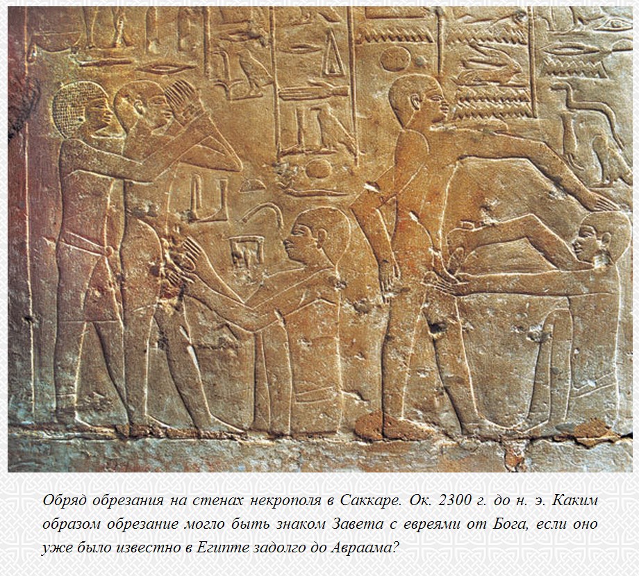 Пробой мозга: обрезание крайней плоти — древнеегипетский обряд! 
