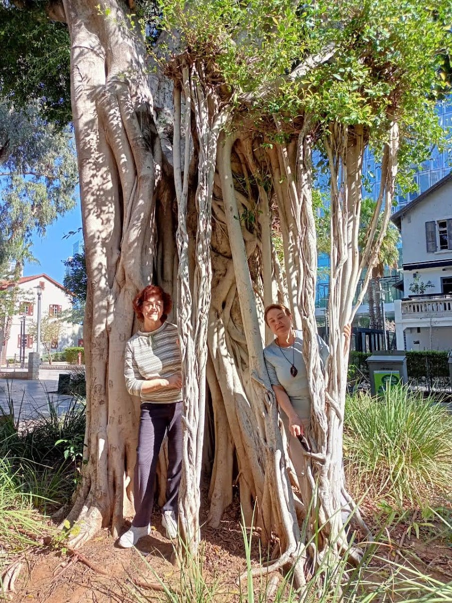 Прогулка по Тель Авиву Прогулка по Тель Авиву
