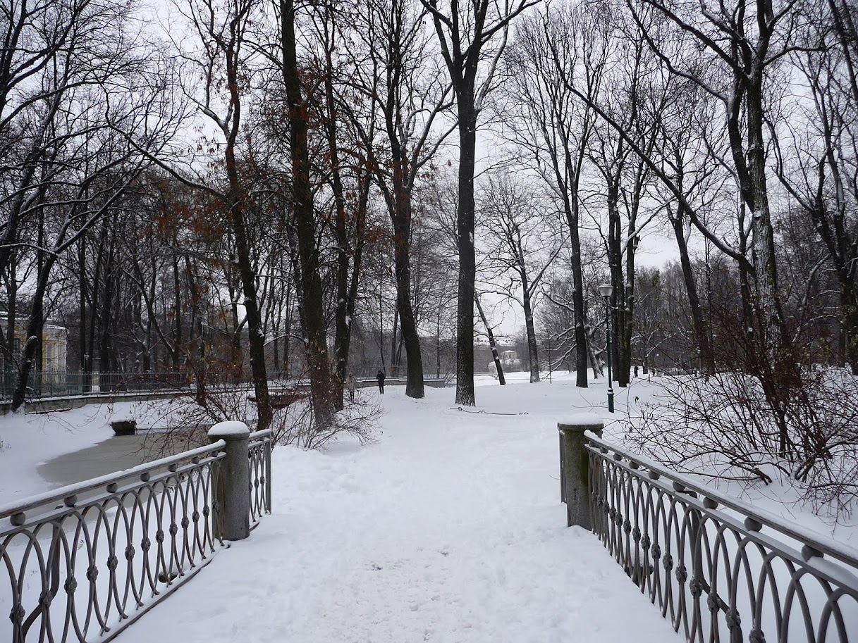 Прогулка под первой метелью Прогулка под первой метелью