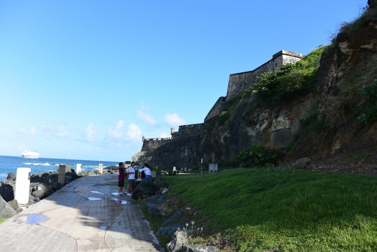 Пуэрто-Рико. Американские Пальмы в Старинной Цитадели 