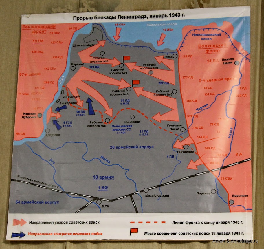 Разгрызть Орешек Разгрызть Орешек