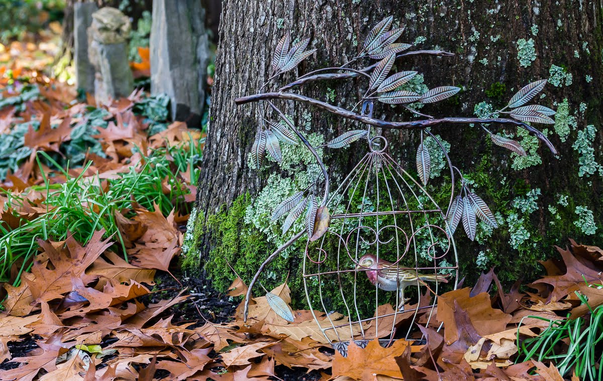 Сад после осенних дождей Сад после осенних дождей