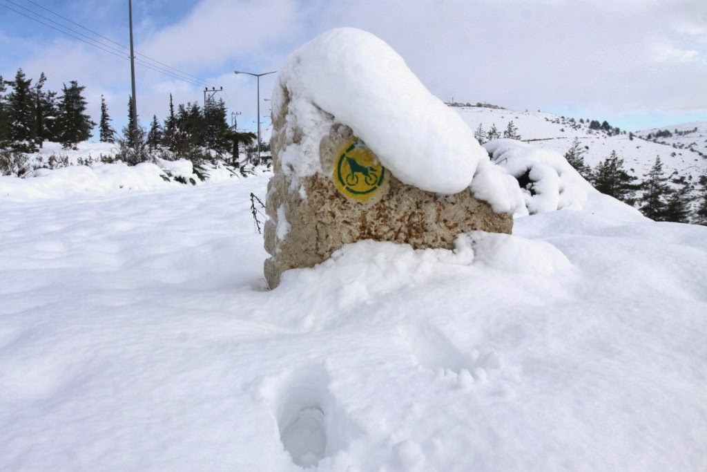 Самарийский снег 