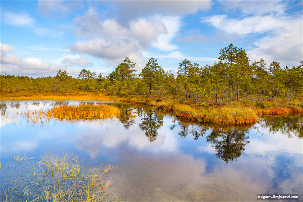 Самое красивое эстонское болото - это Виру Раба! 