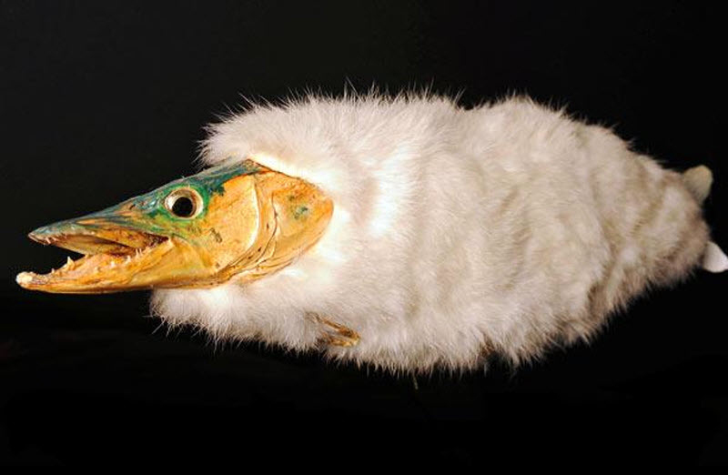 Селёдочное Селёдочное