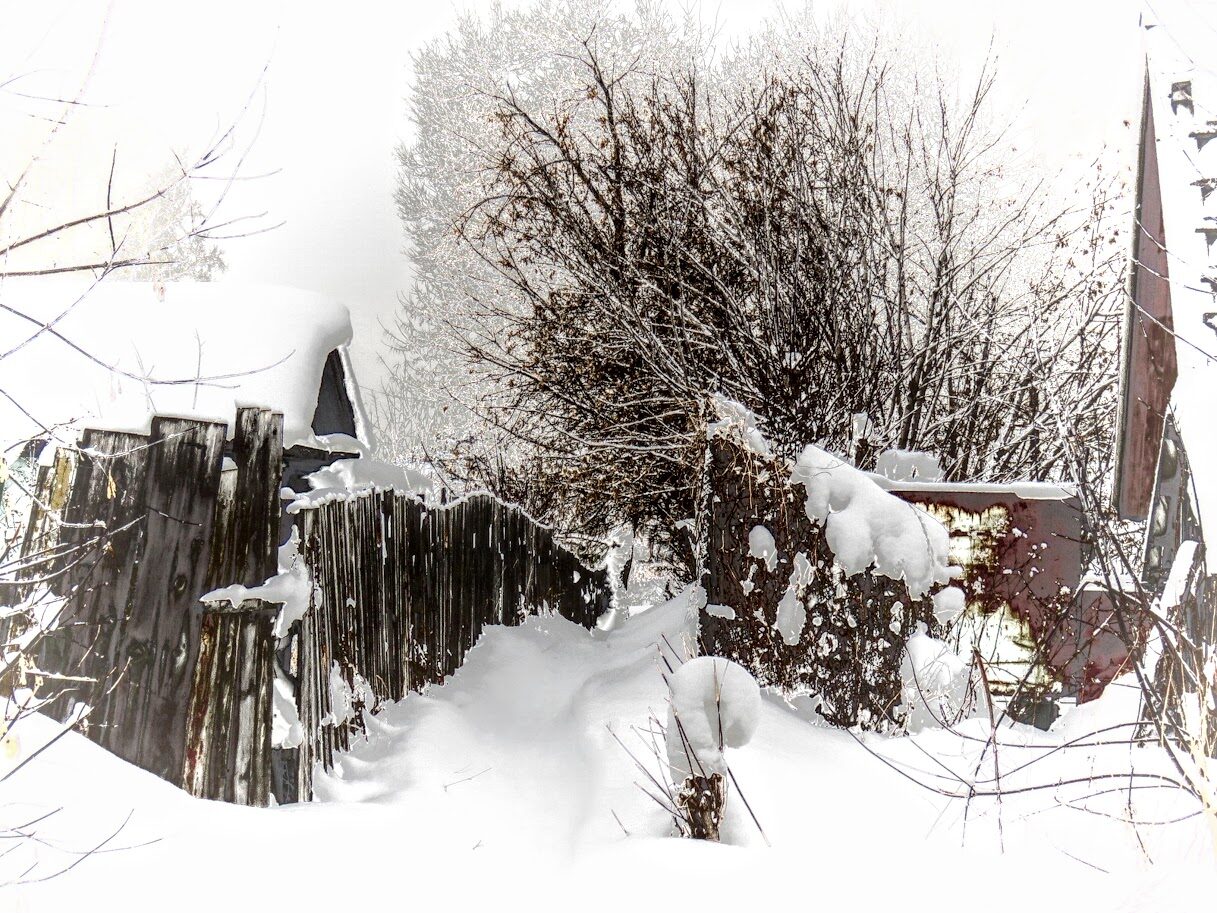 Снегирь с дроздом и фототворчество и золотые груши i-11