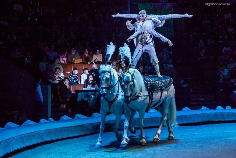 Снежная королева в Большом цирке на Вернадского 