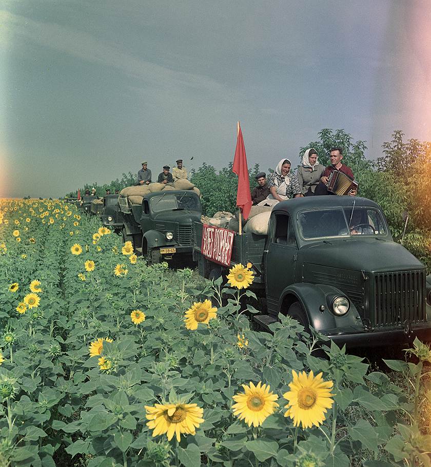 Советская провинция в цвете. ( 95 фото ) KOG_002912_00002_2_t210_175505.jpg