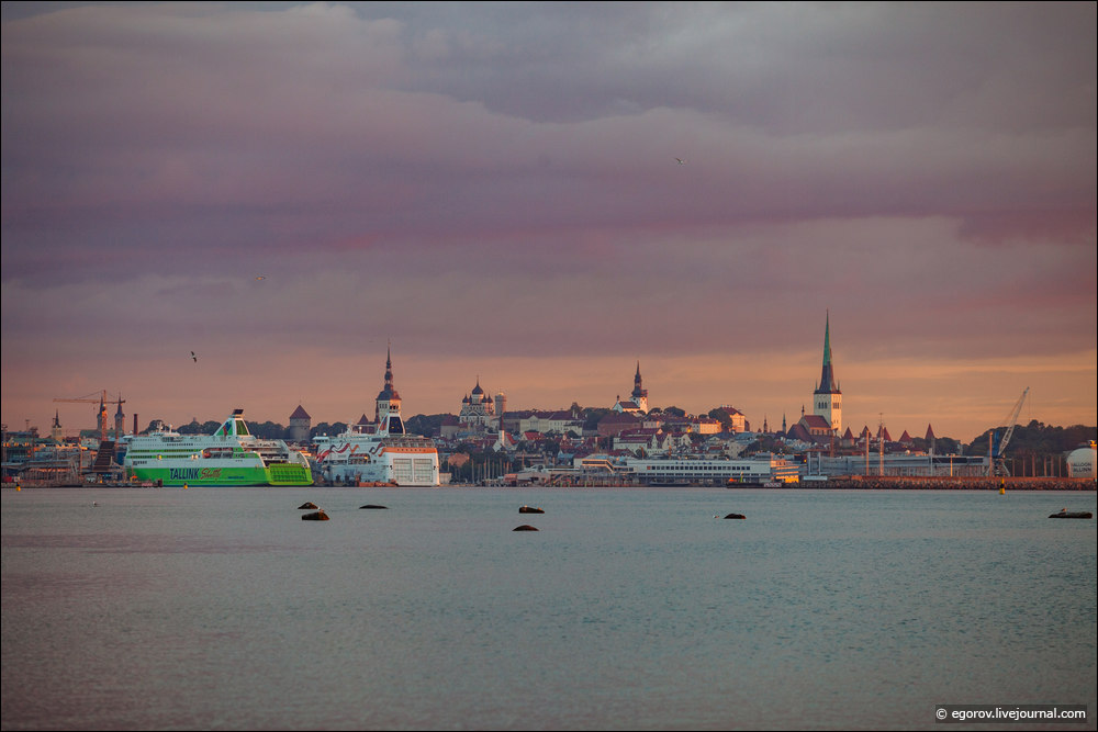 Старый и новый Таллинн на закате 