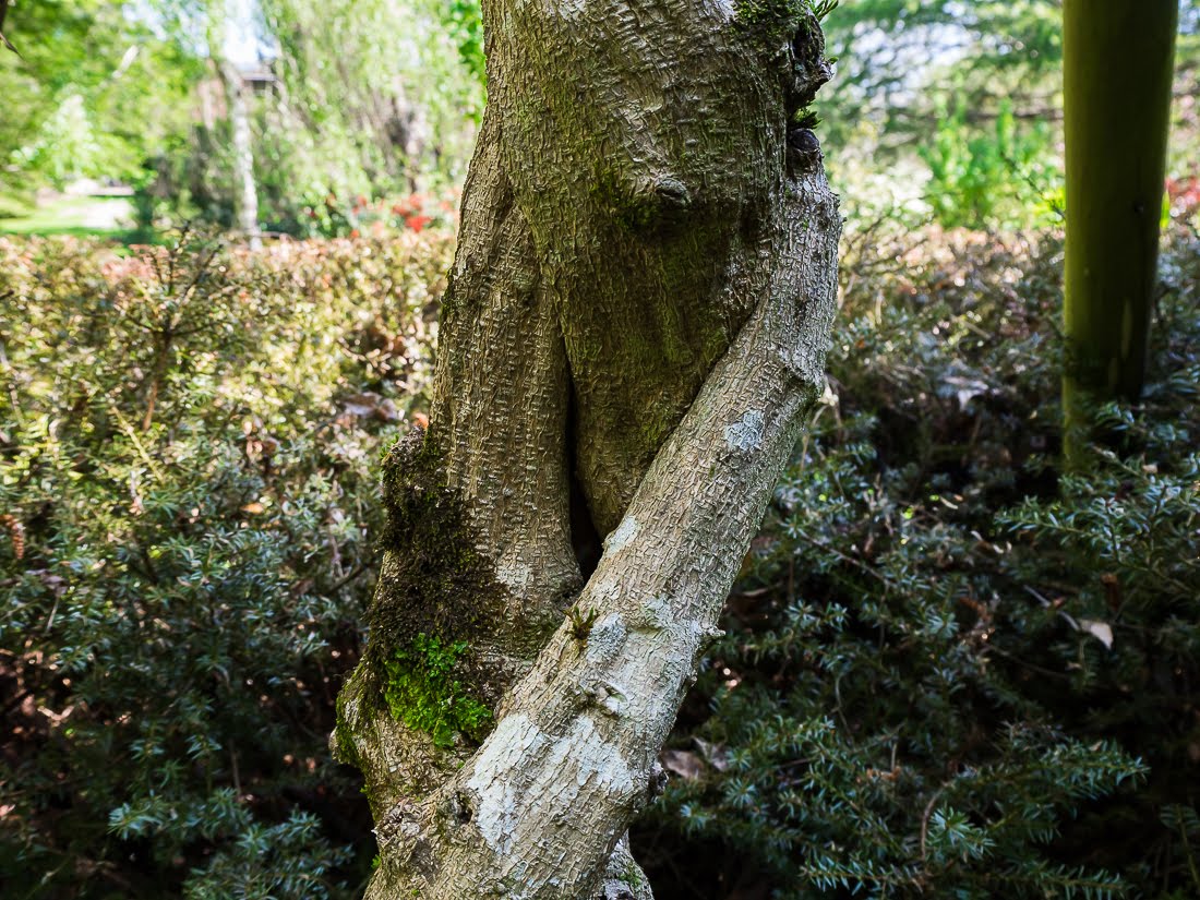 Ученые не выпускают вакцину от коронавируса Ученые не выпускают вакцину от коронавируса