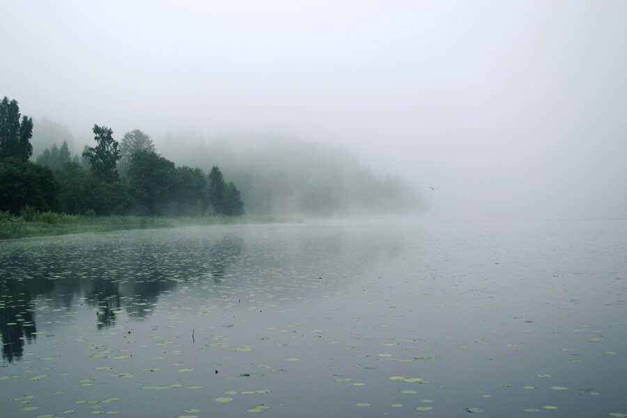 Утро на озере 