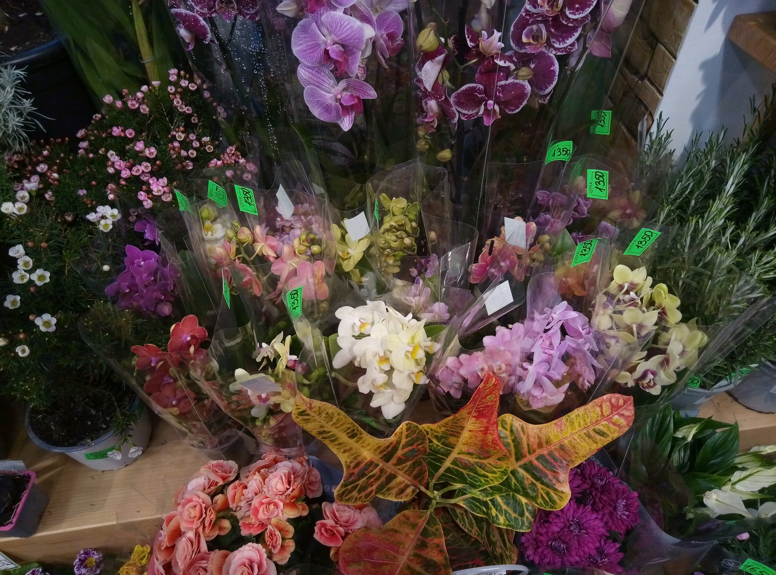 В цветочном магазинчике 