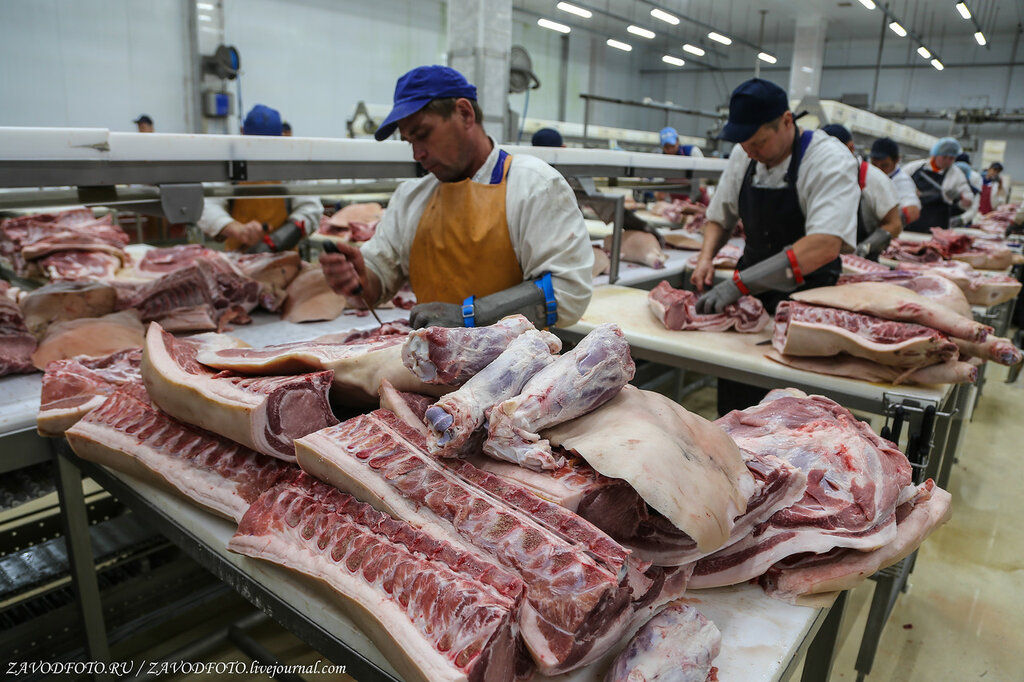 В Дагестане реализуют проект по переработке мяса за 1,4 млрд рублей 