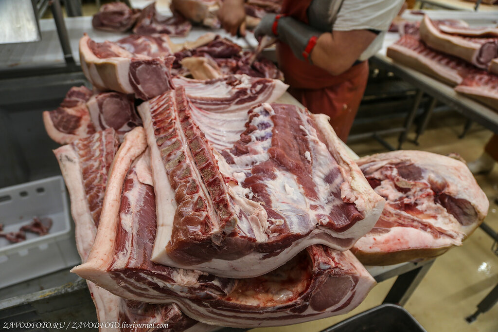 В Дагестане реализуют проект по переработке мяса за 1,4 млрд рублей 