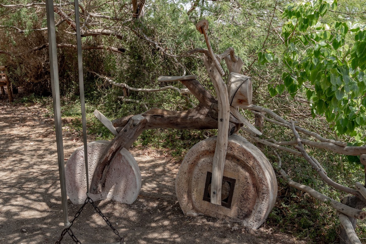 В Эйлатском ботаническом саду  В Эйлатском ботаническом саду