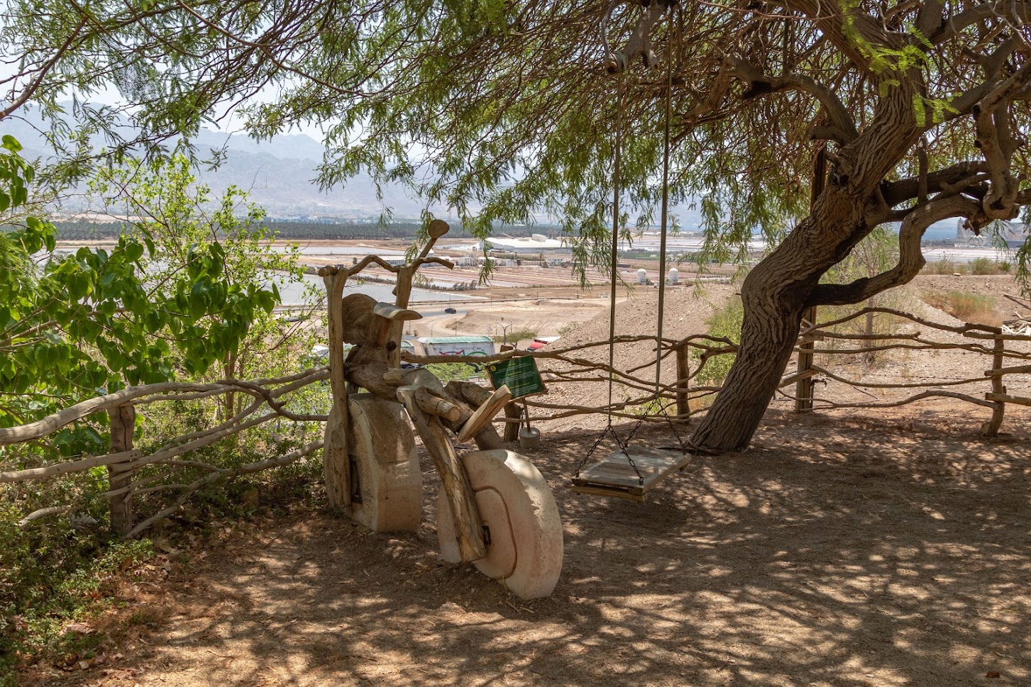 В Эйлатском ботаническом саду  В Эйлатском ботаническом саду