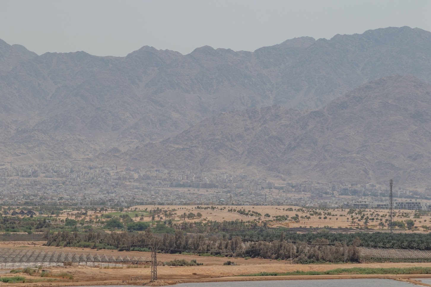 В Эйлатском ботаническом саду  В Эйлатском ботаническом саду