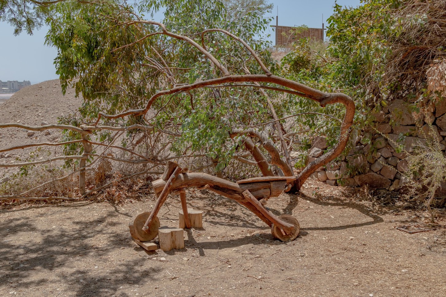 В Эйлатском ботаническом саду  В Эйлатском ботаническом саду