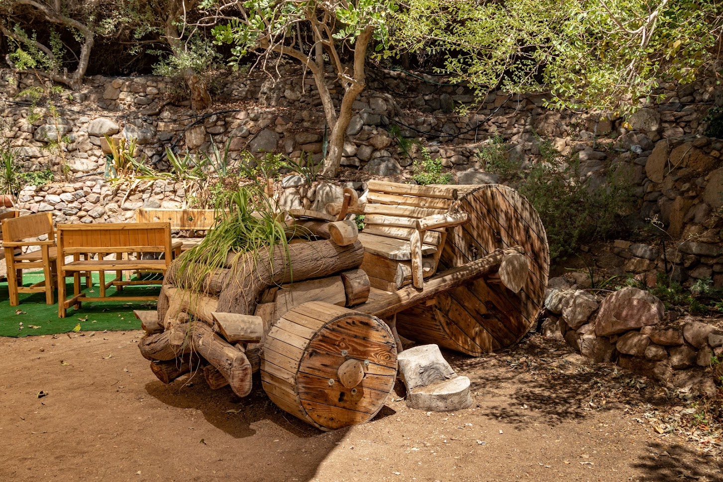 В Эйлатском ботаническом саду  В Эйлатском ботаническом саду